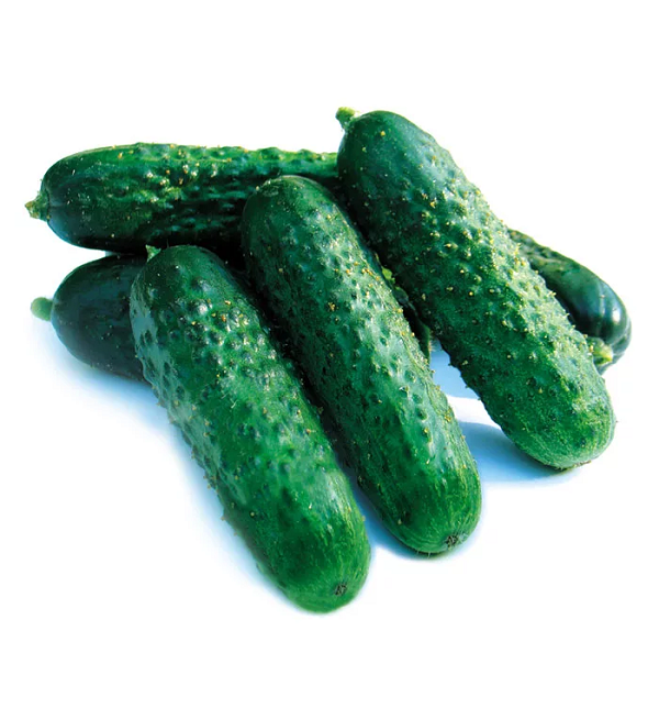 Огурцы бугорчатые 1 кг АФ Победа