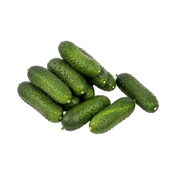 Огурцы короткоплодные 1 кг (Неёловский Фермер)